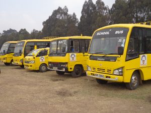 Rudan transport system